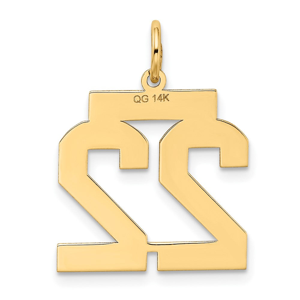 Charlie & Co Jewelry | 14k Medium Satin Number 22 Charm - Model LSM22