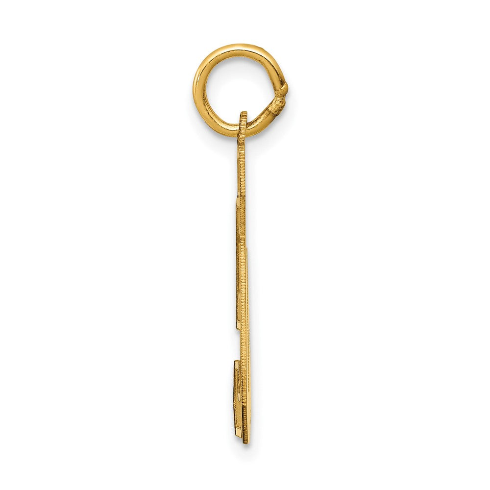 Charlie & Co Jewelry | 14k Medium Satin Number 50 Charm - Model LSM50