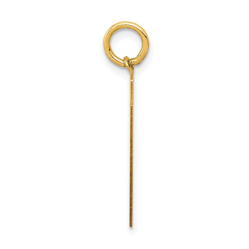 Charlie & Co Jewelry | 14k Medium Satin Number 91 Charm - Model LSM91