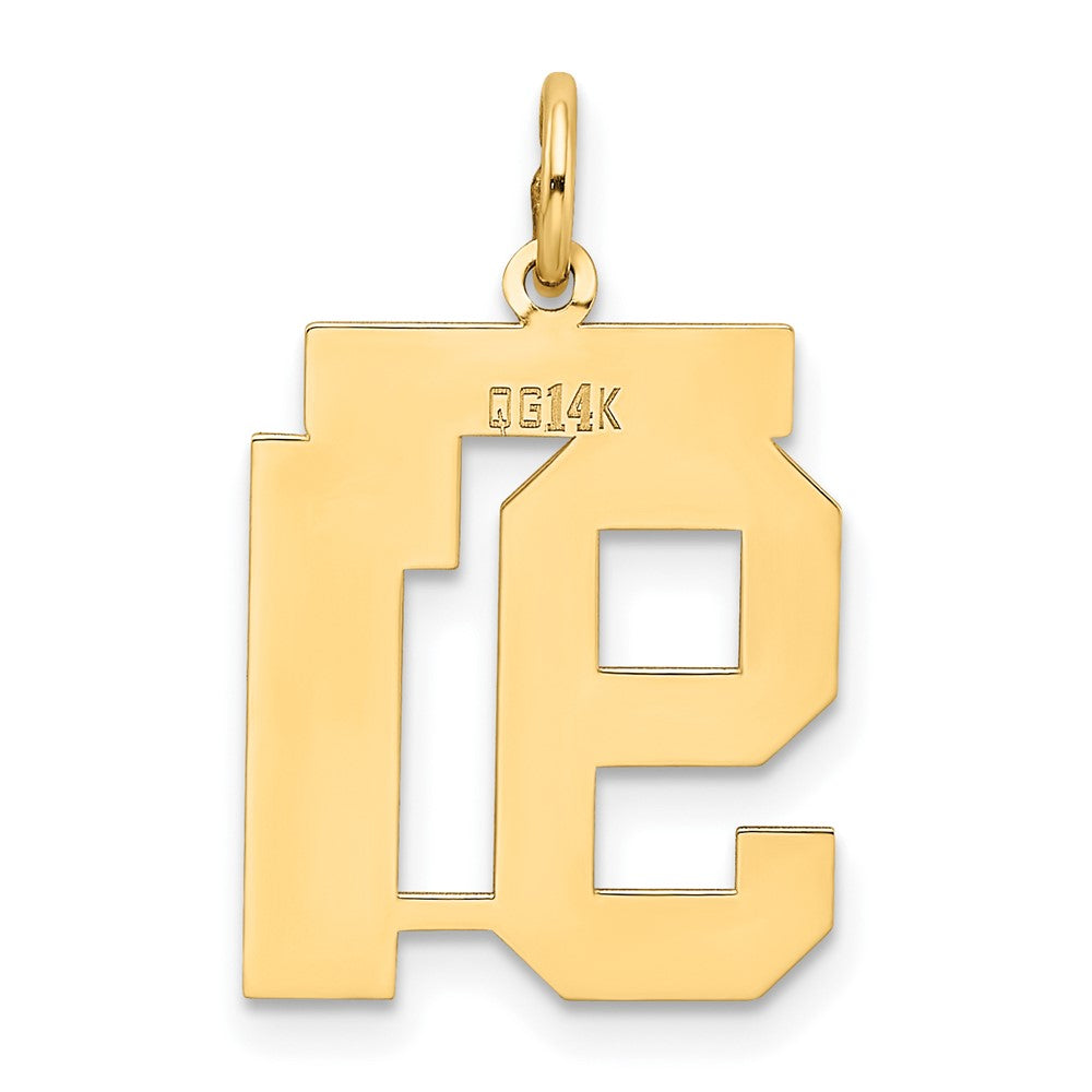 Charlie & Co Jewelry | 14k Medium Satin Number 91 Charm - Model LSM91