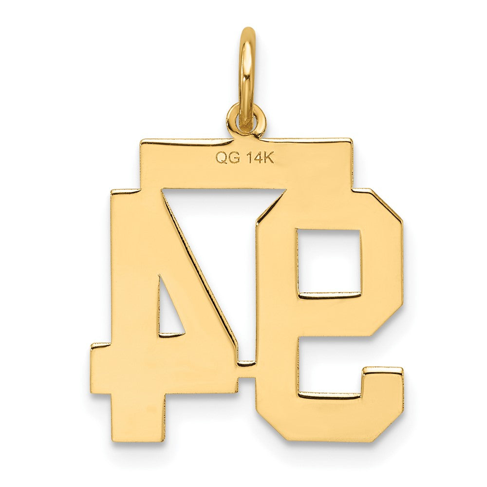 Charlie & Co Jewelry | 14k Medium Satin Number 94 Charm - Model LSM94