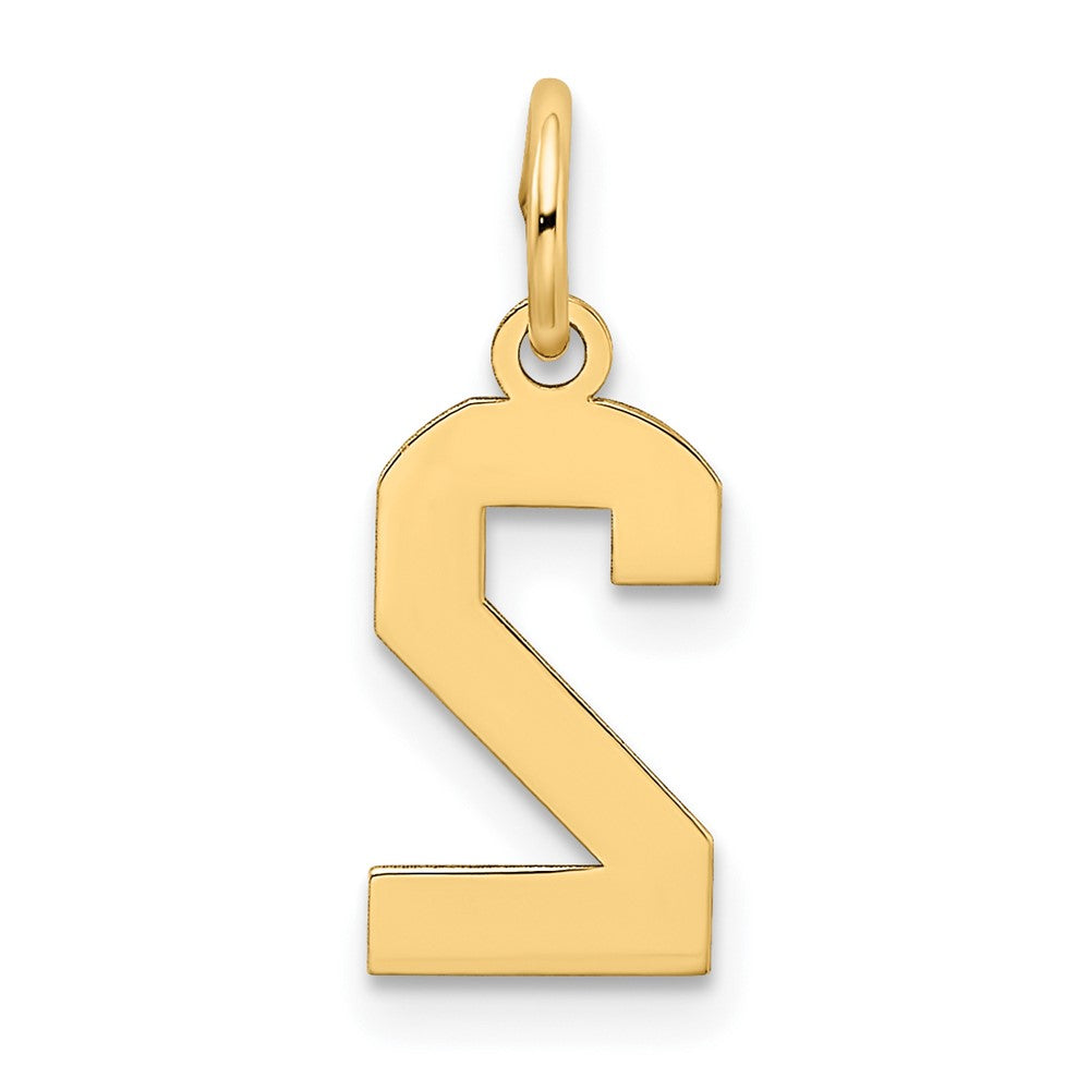 Charlie & Co Jewelry | 14k Small Satin Number 2 Charm - Model LSS02