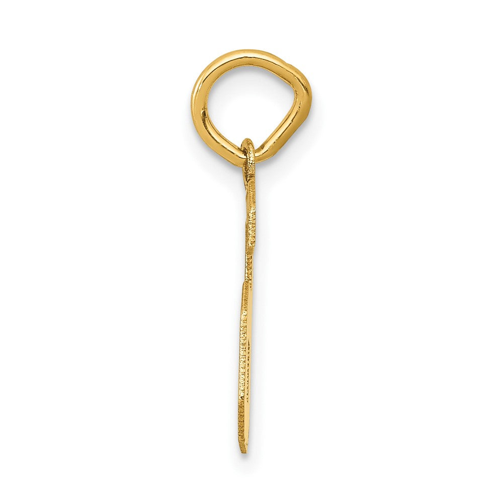 Charlie & Co Jewelry | 14k Small Satin Number 6 Charm - Model LSS06