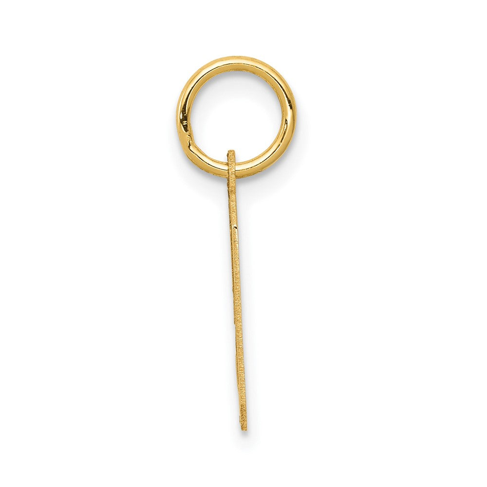 Charlie & Co Jewelry | 14k Small Satin Number 9 Charm - Model LSS09