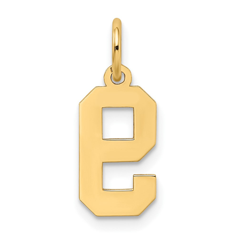 Charlie & Co Jewelry | 14k Small Satin Number 9 Charm - Model LSS09