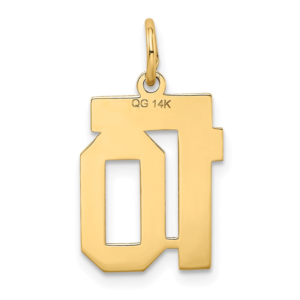 Charlie & Co Jewelry | 14k Small Satin Number 10 Charm - Model LSS10
