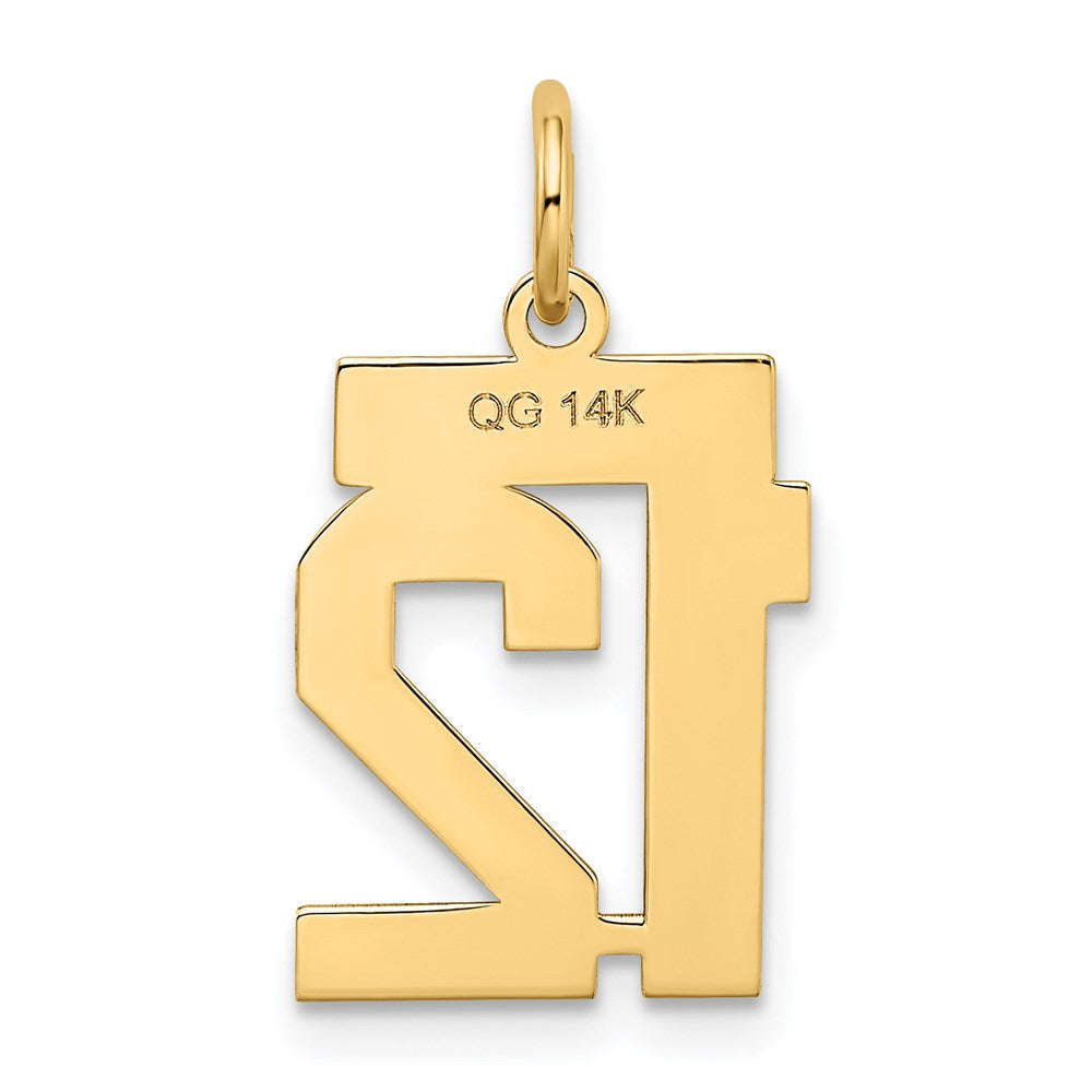 Charlie & Co Jewelry | 14k Small Satin Number 12 Charm - Model LSS12