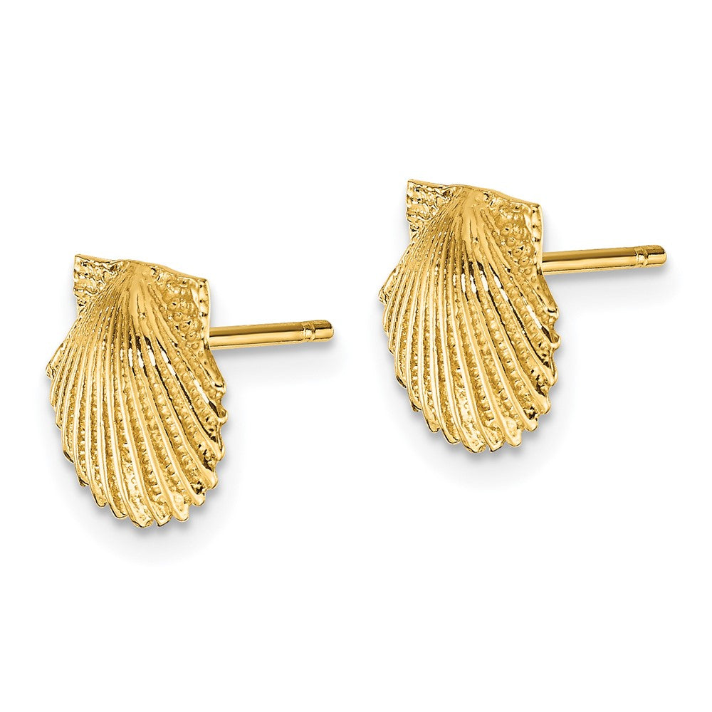 Gold Scallop Shell Post Earrings - Model TC569 - Charlie & Co. Jewelry