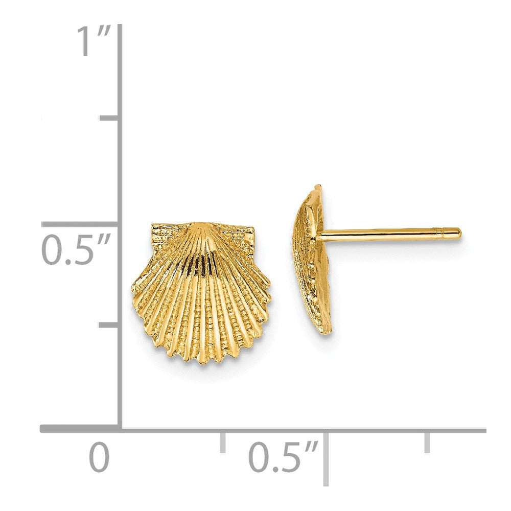 Gold Scallop Shell Post Earrings - Model TC569 - Charlie & Co. Jewelry