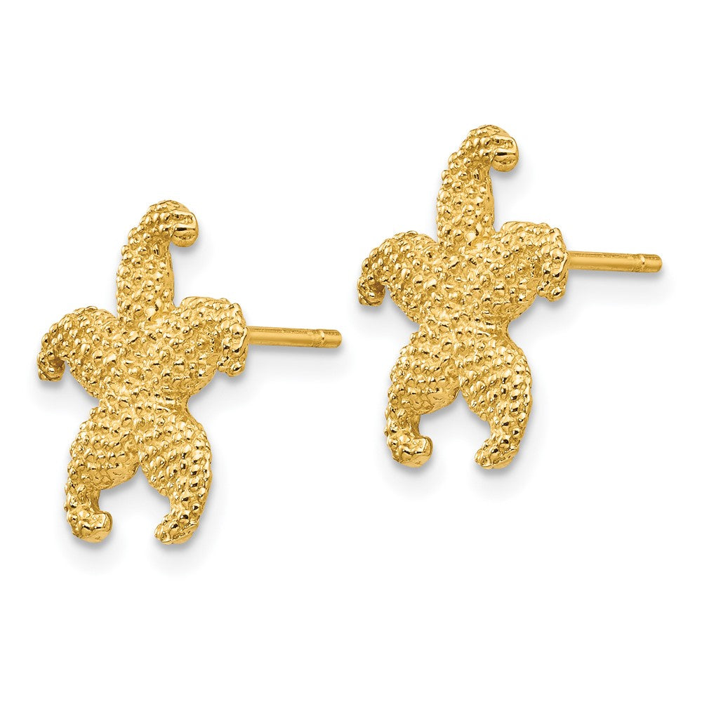 Gold Starfish Post Earrings - Model TC586 - Charlie & Co. Jewelry