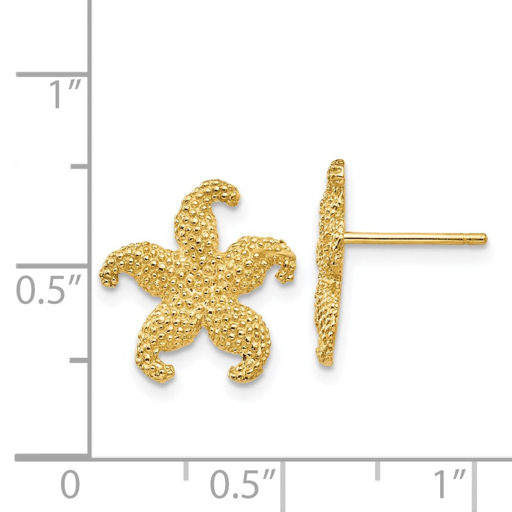 Gold Starfish Post Earrings - Model TC586 - Charlie & Co. Jewelry