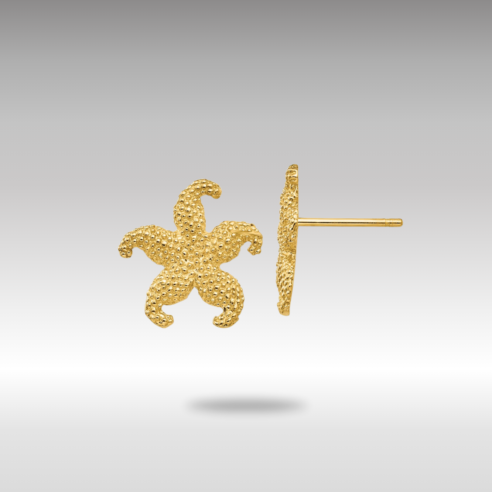 Gold Starfish Post Earrings - Model TC586 - Charlie & Co. Jewelry