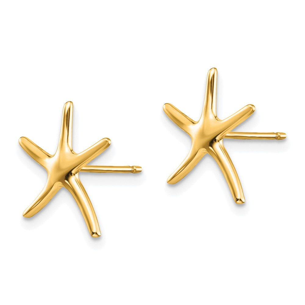 Gold Starfish Post Earrings - Model TE624 - Charlie & Co. Jewelry