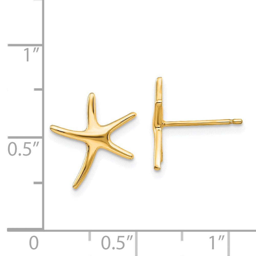 Gold Starfish Post Earrings - Model TE624 - Charlie & Co. Jewelry