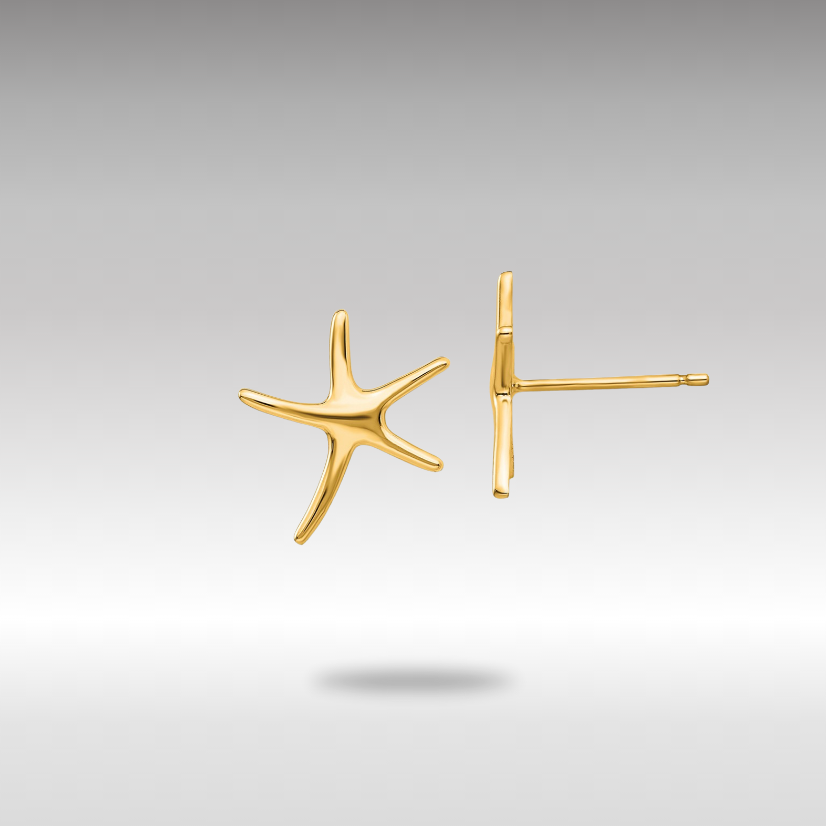 Gold Starfish Post Earrings - Model TE624 - Charlie & Co. Jewelry