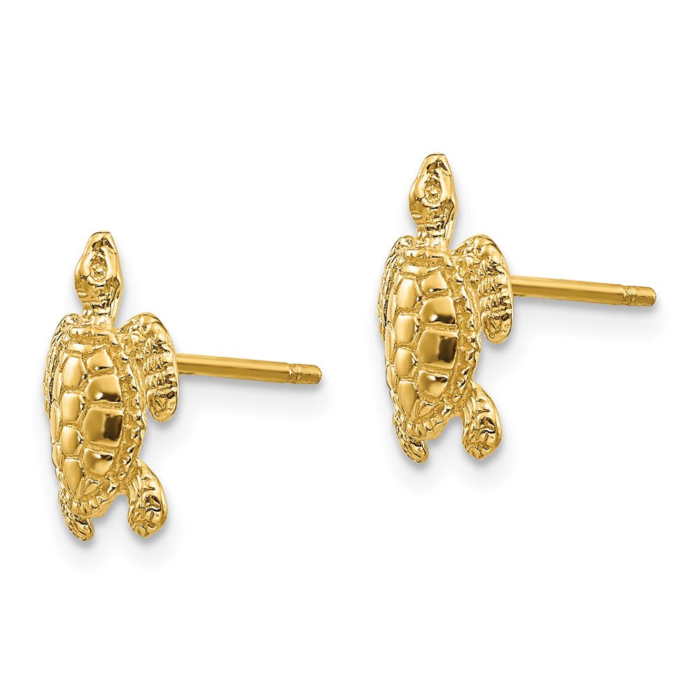Gold Sea Turtle Post Earrings - Model TE627 - Charlie & Co. Jewelry