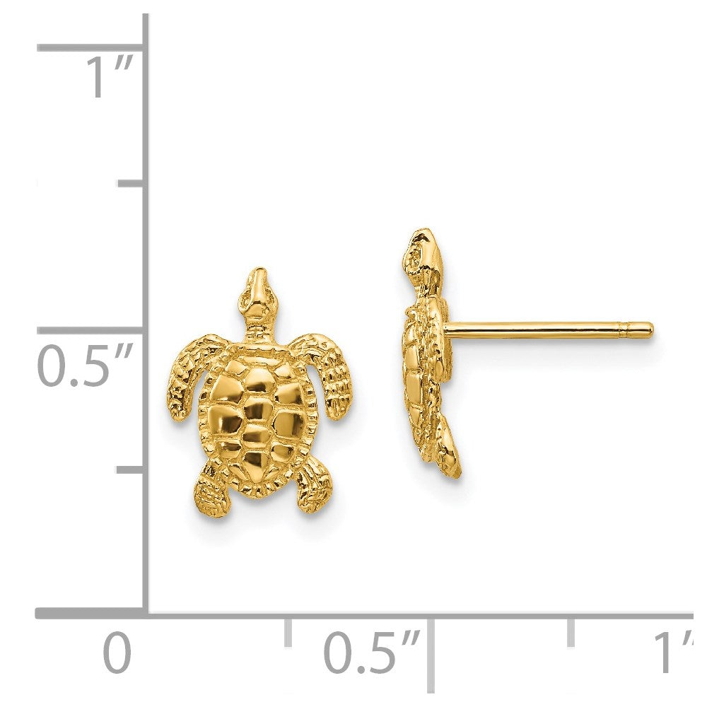 Gold Sea Turtle Post Earrings - Model TE627 - Charlie & Co. Jewelry