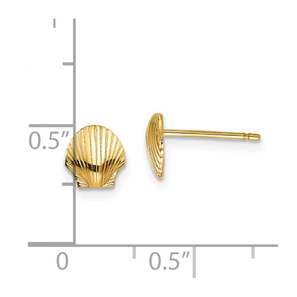 Mini Scallop Shell Post Earrings - Model TE632 - Charlie & Co. Jewelry
