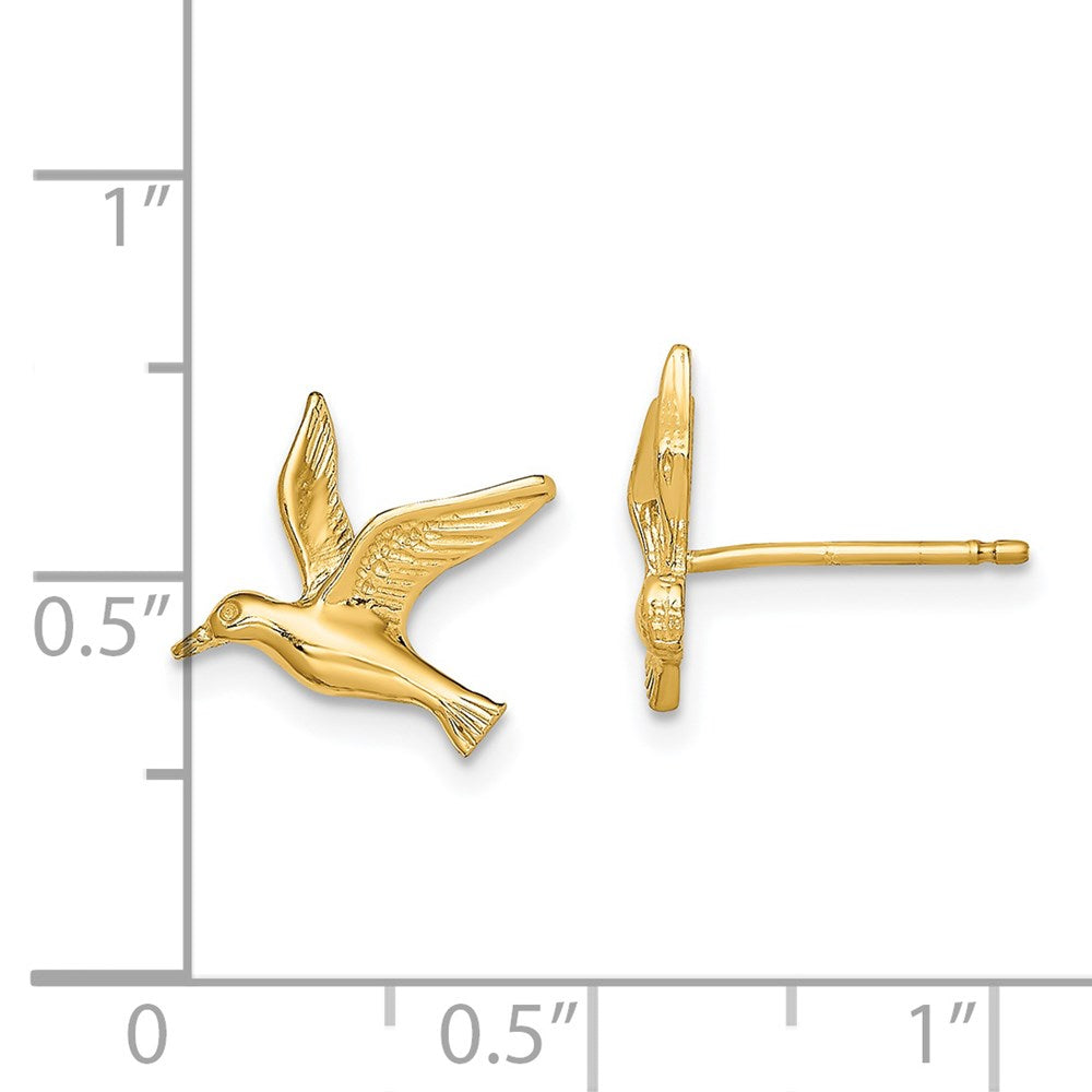 Gold Polished Seagull Post Earrings - Model TE791 - Charlie & Co. Jewelry
