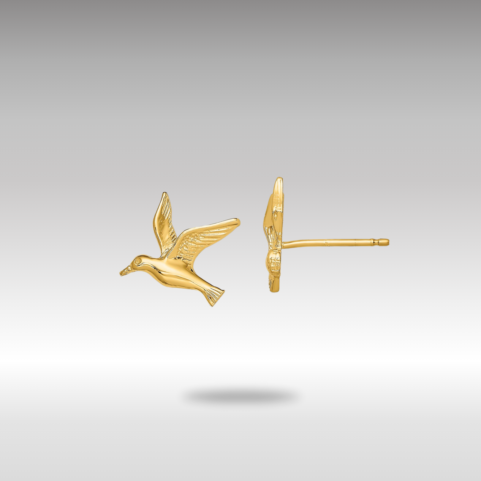 Gold Polished Seagull Post Earrings - Model TE791 - Charlie & Co. Jewelry