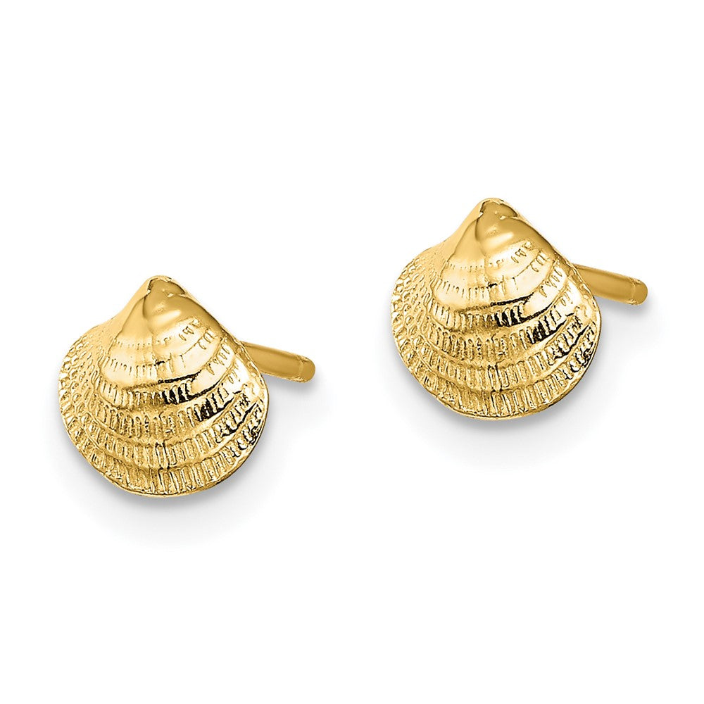 Gold Mini Clam Shell Post Earrings - Model TE801 - Charlie & Co. Jewelry