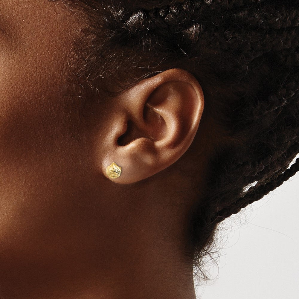 Gold Mini Clam Shell Post Earrings - Model TE801 - Charlie & Co. Jewelry