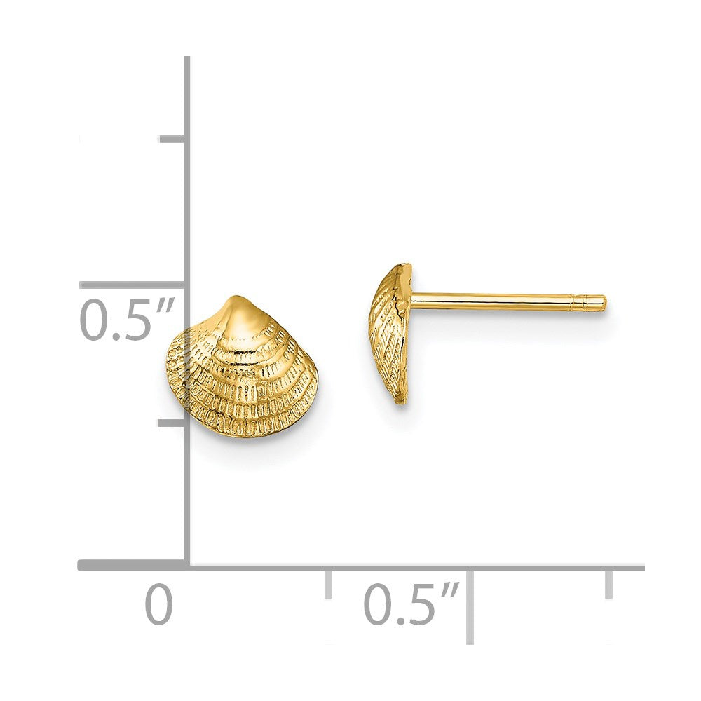 Gold Mini Clam Shell Post Earrings - Model TE801 - Charlie & Co. Jewelry