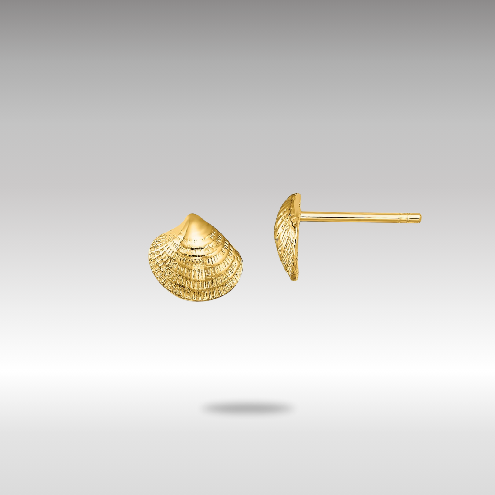 Gold Mini Clam Shell Post Earrings - Model TE801 - Charlie & Co. Jewelry