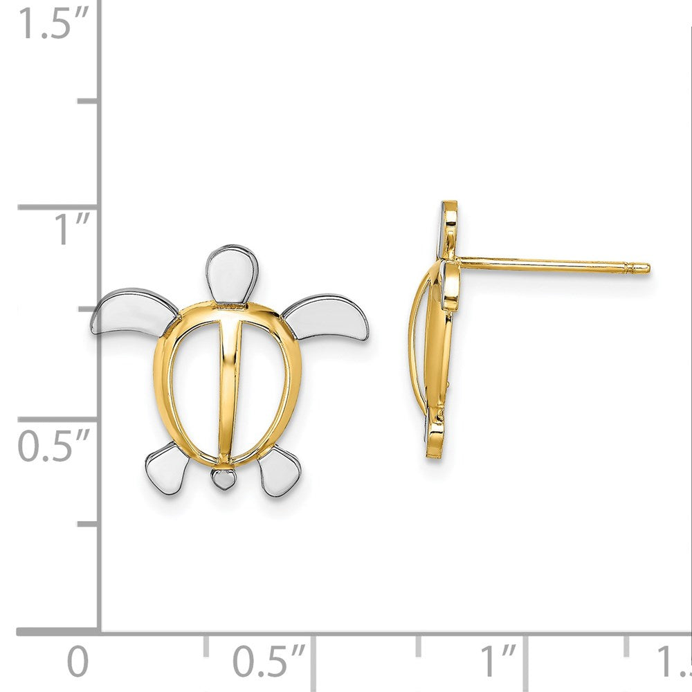 Gold Sea Turtle Post Earrings - Model TE940 - Charlie & Co. Jewelry