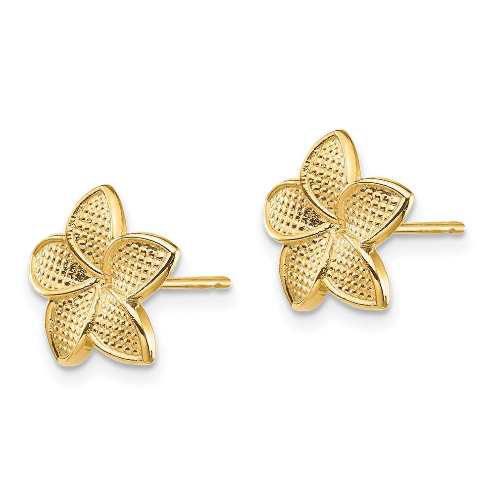 Gold Polished and Textured Plumeria Post Earrings - Model TF1558 - Charlie & Co. Jewelry