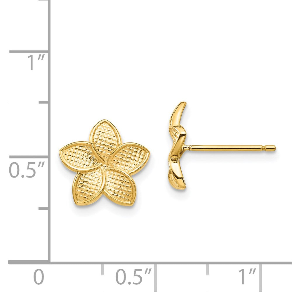 Gold Polished and Textured Plumeria Post Earrings - Model TF1558 - Charlie & Co. Jewelry