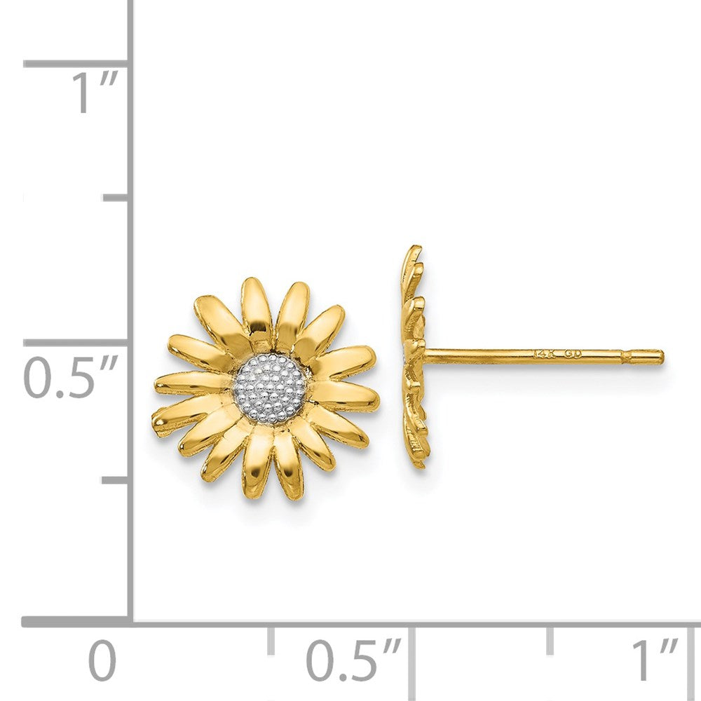Gold Mini Daisy Post Earrings - Model TM735 - Charlie & Co. Jewelry