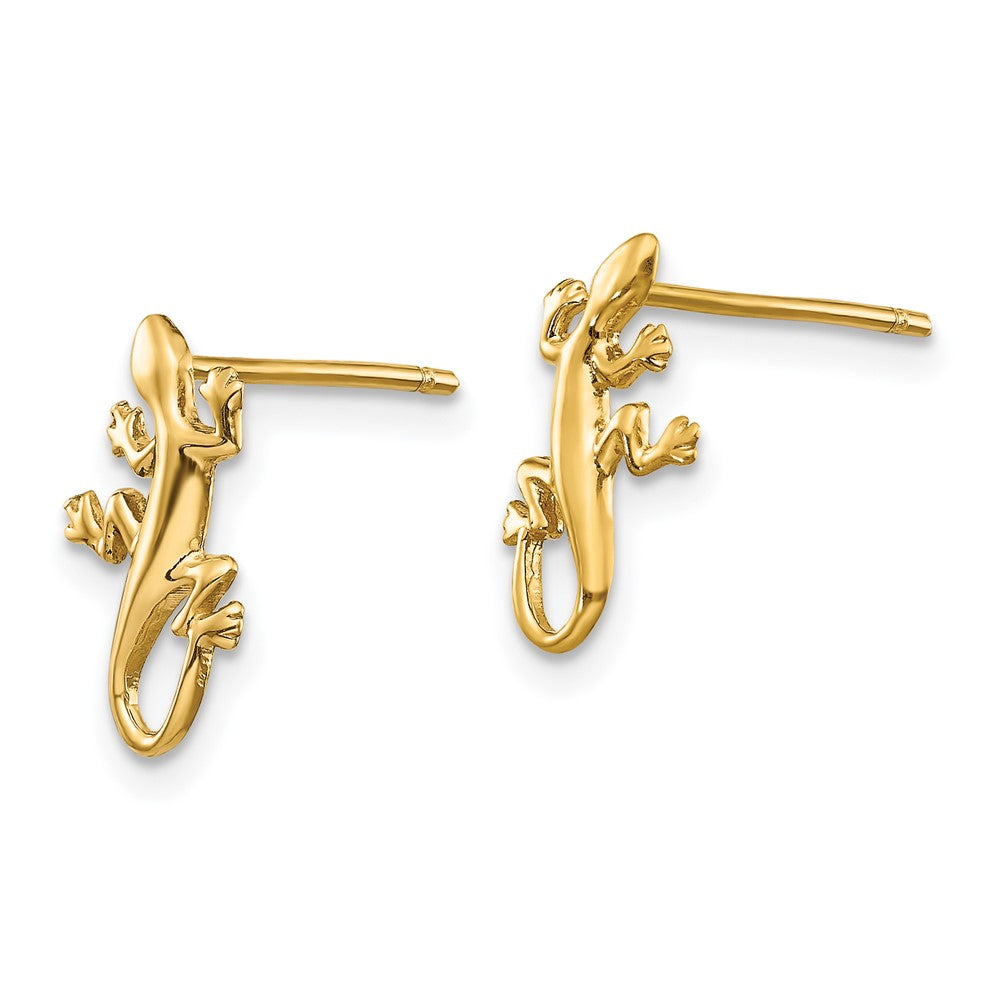 Gold Polished Gecko Post Earrings - Model TM738 - Charlie & Co. Jewelry