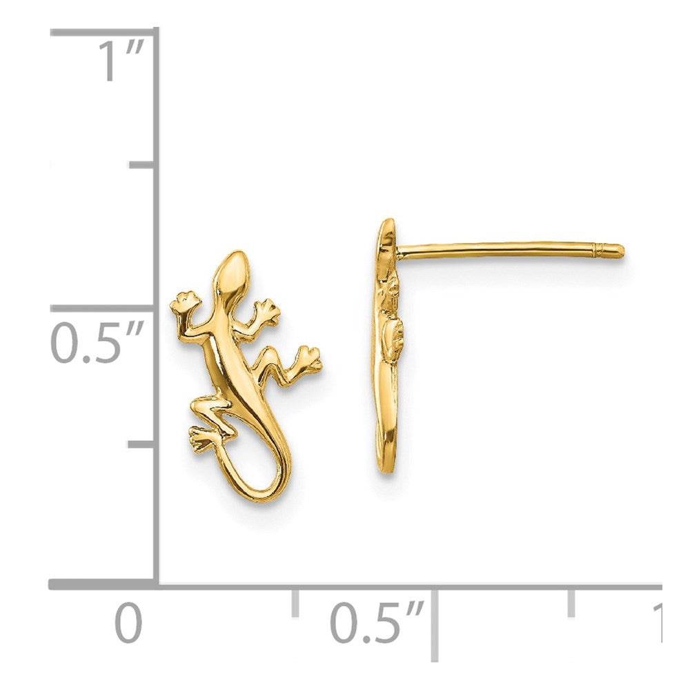 Gold Polished Gecko Post Earrings - Model TM738 - Charlie & Co. Jewelry