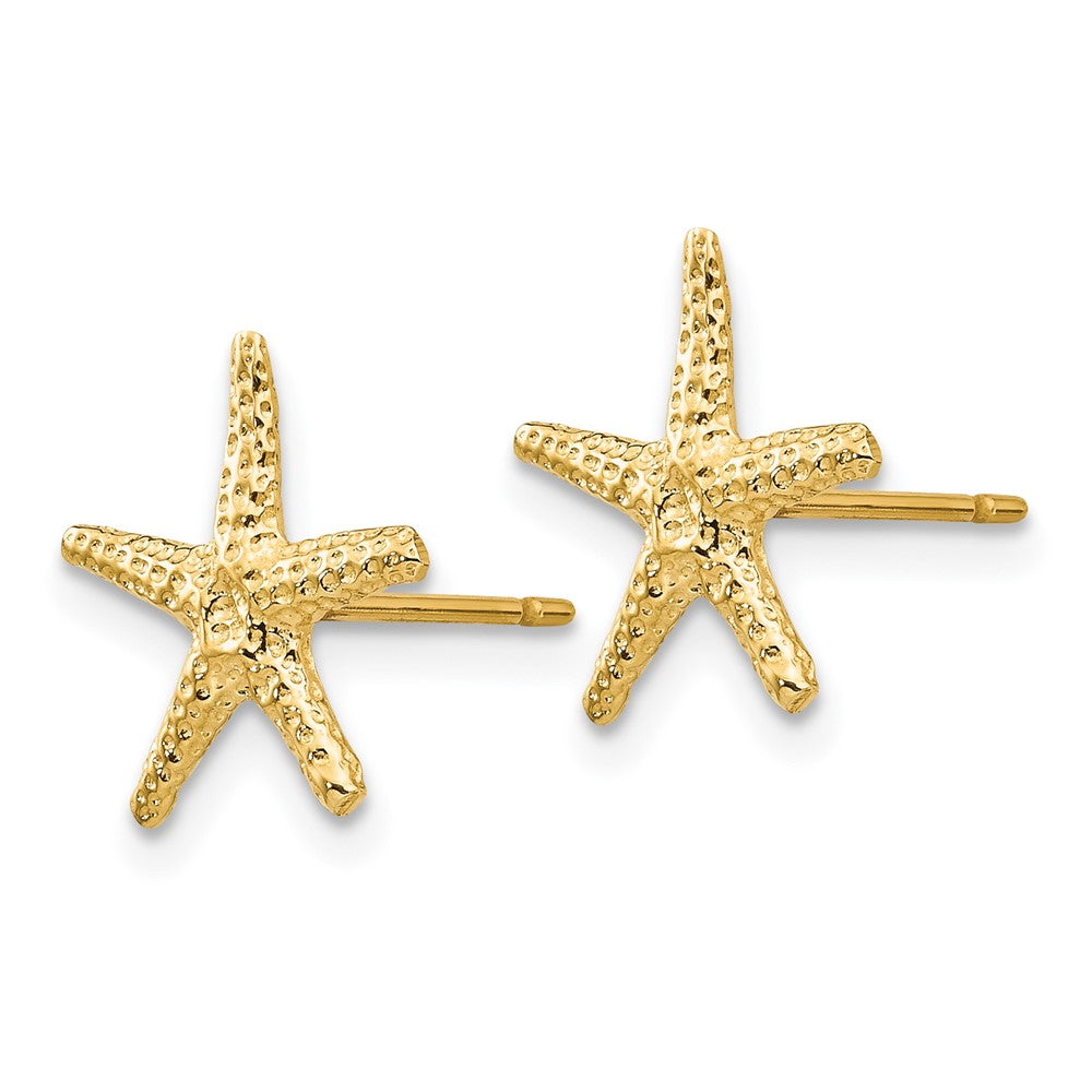 Gold Starfish Post Earrings - Model TM766 - Charlie & Co. Jewelry