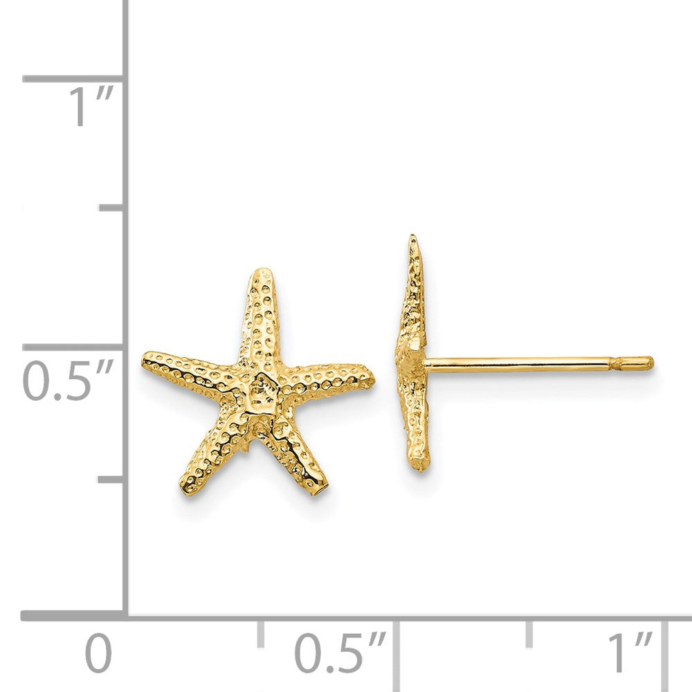 Gold Starfish Post Earrings - Model TM766 - Charlie & Co. Jewelry