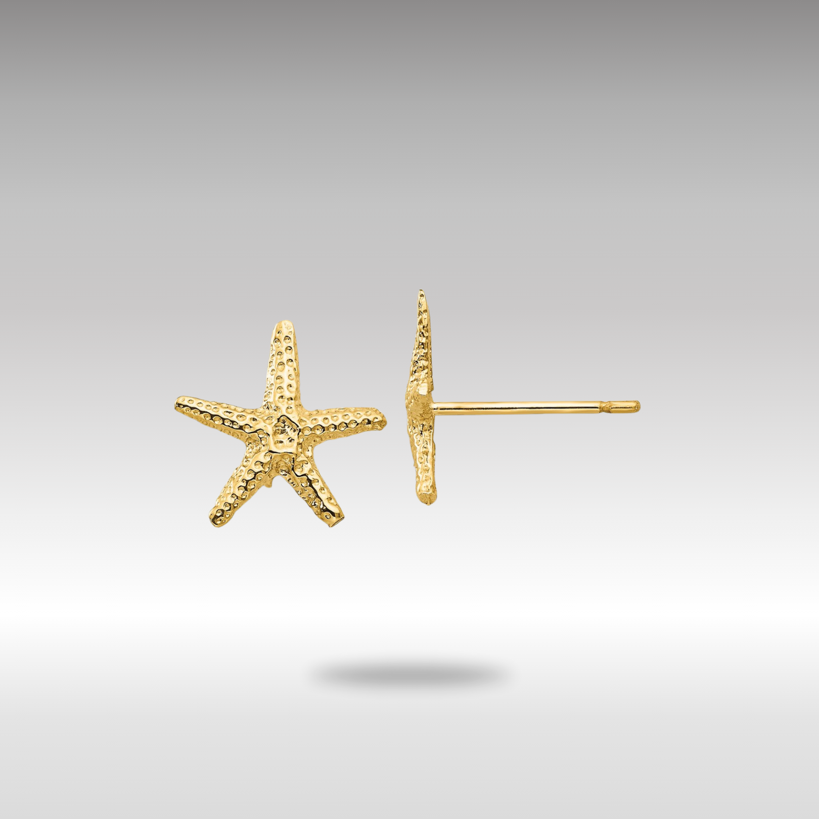 Gold Starfish Post Earrings - Model TM766 - Charlie & Co. Jewelry