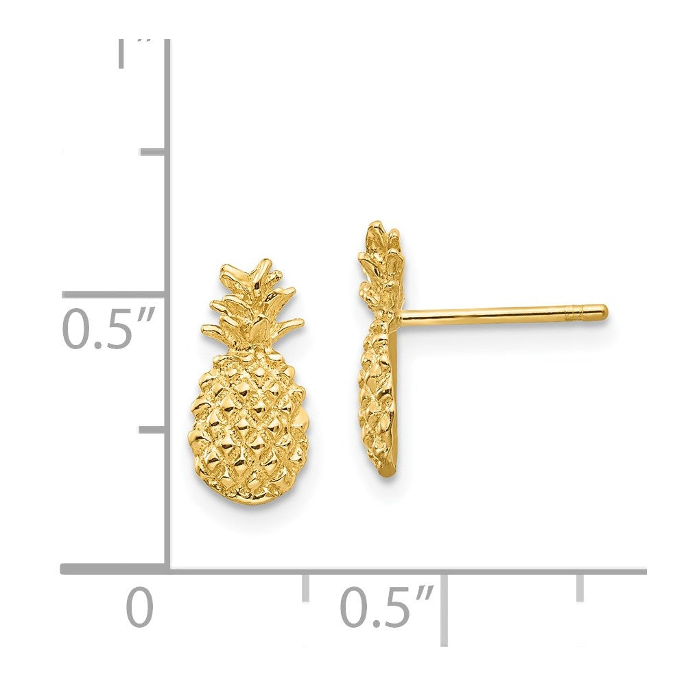 Gold Polished and Textured Pineapple Post Earrings - Model TM773 - Charlie & Co. Jewelry