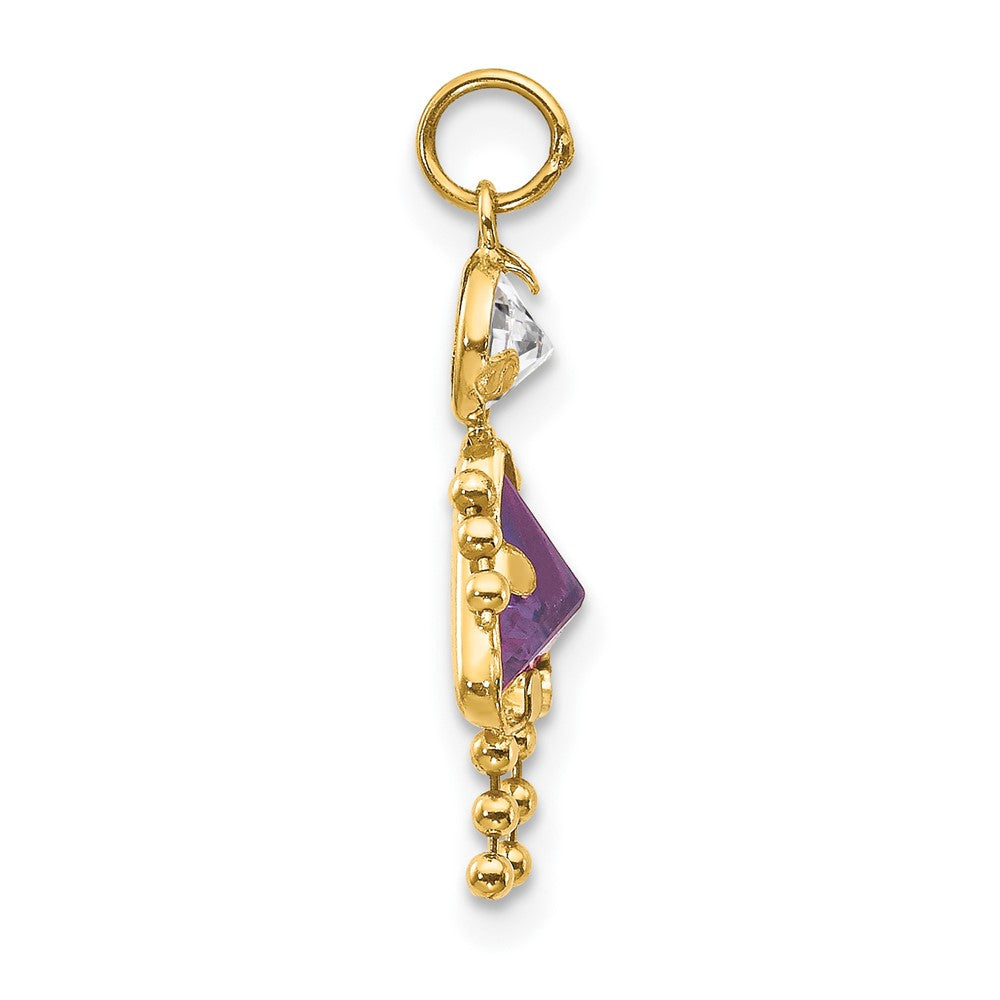 Charlie & Co Jewelry | 14k February Girl Birthstone Charm - Model XCK158