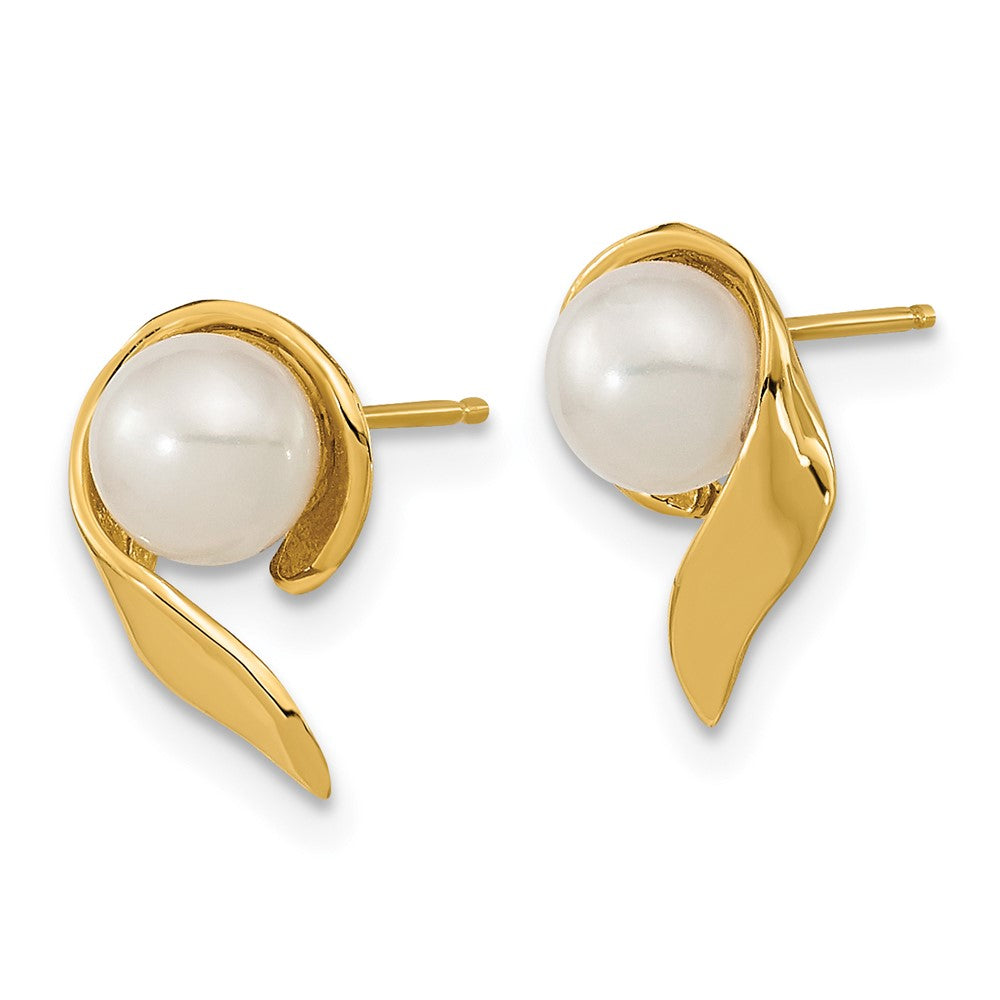 Gold 5-6mm White Button Freshwater Cultured Pearl Post Earrings - Model XF606E - Charlie & Co. Jewelry