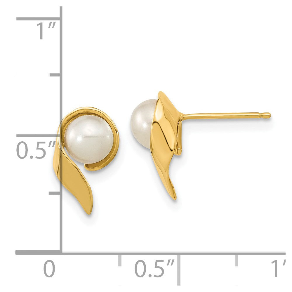 Gold 5-6mm White Button Freshwater Cultured Pearl Post Earrings - Model XF606E - Charlie & Co. Jewelry