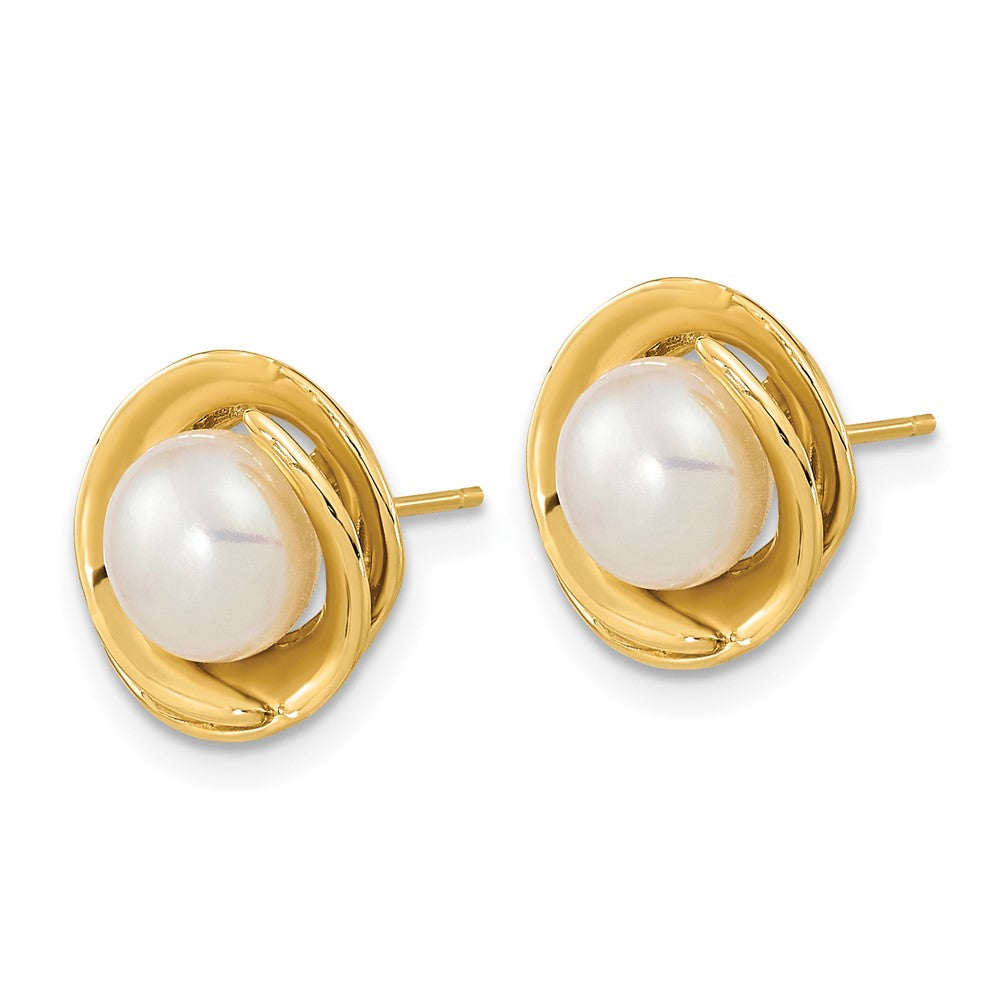 Gold 6-7mm White Button Freshwater Cultured Pearl Post Earrings - Model XF646E - Charlie & Co. Jewelry