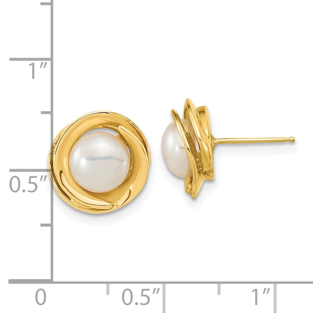 Gold 6-7mm White Button Freshwater Cultured Pearl Post Earrings - Model XF646E - Charlie & Co. Jewelry