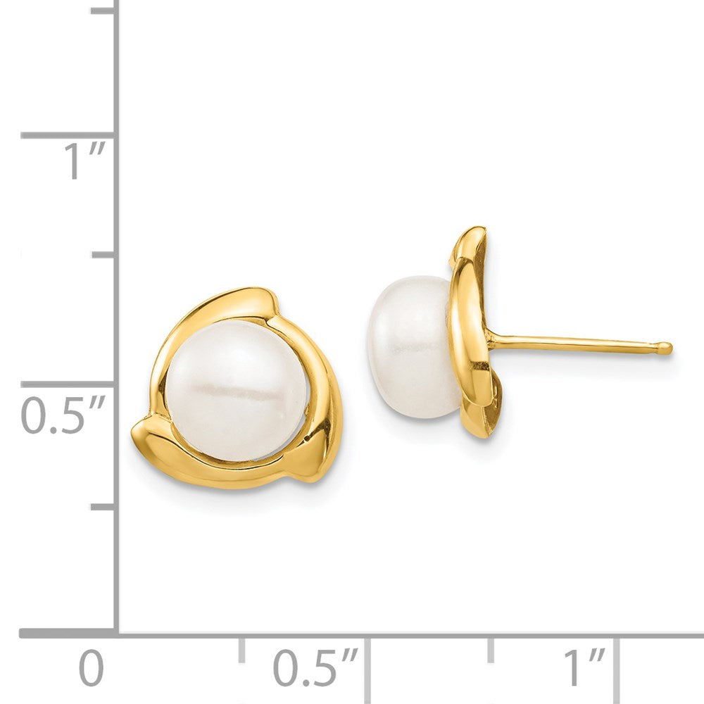 Gold 7-8mm White Button Freshwater Cultured Pearl Post Earrings - Model XF696E - Charlie & Co. Jewelry