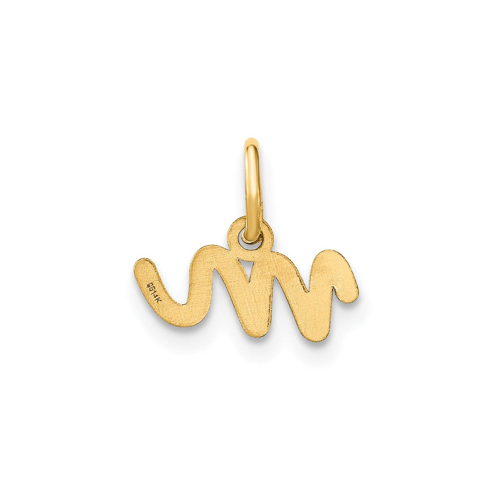 Charlie & Co Jewelry | 14ky Lower Case Letter M Initial Charm - Model XNA1307Y/M
