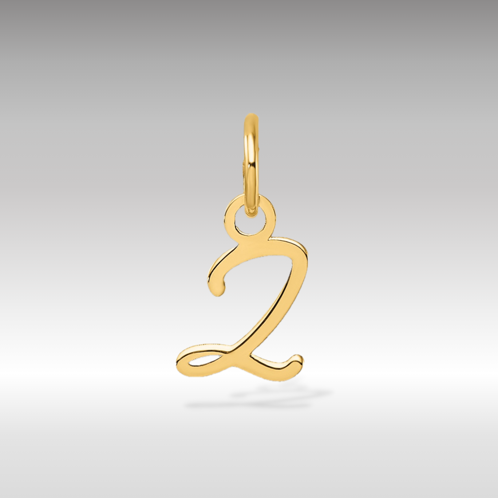 14K Gold Small Script Letter "Z" Initial Pendant - Charlie & Co. Jewelry