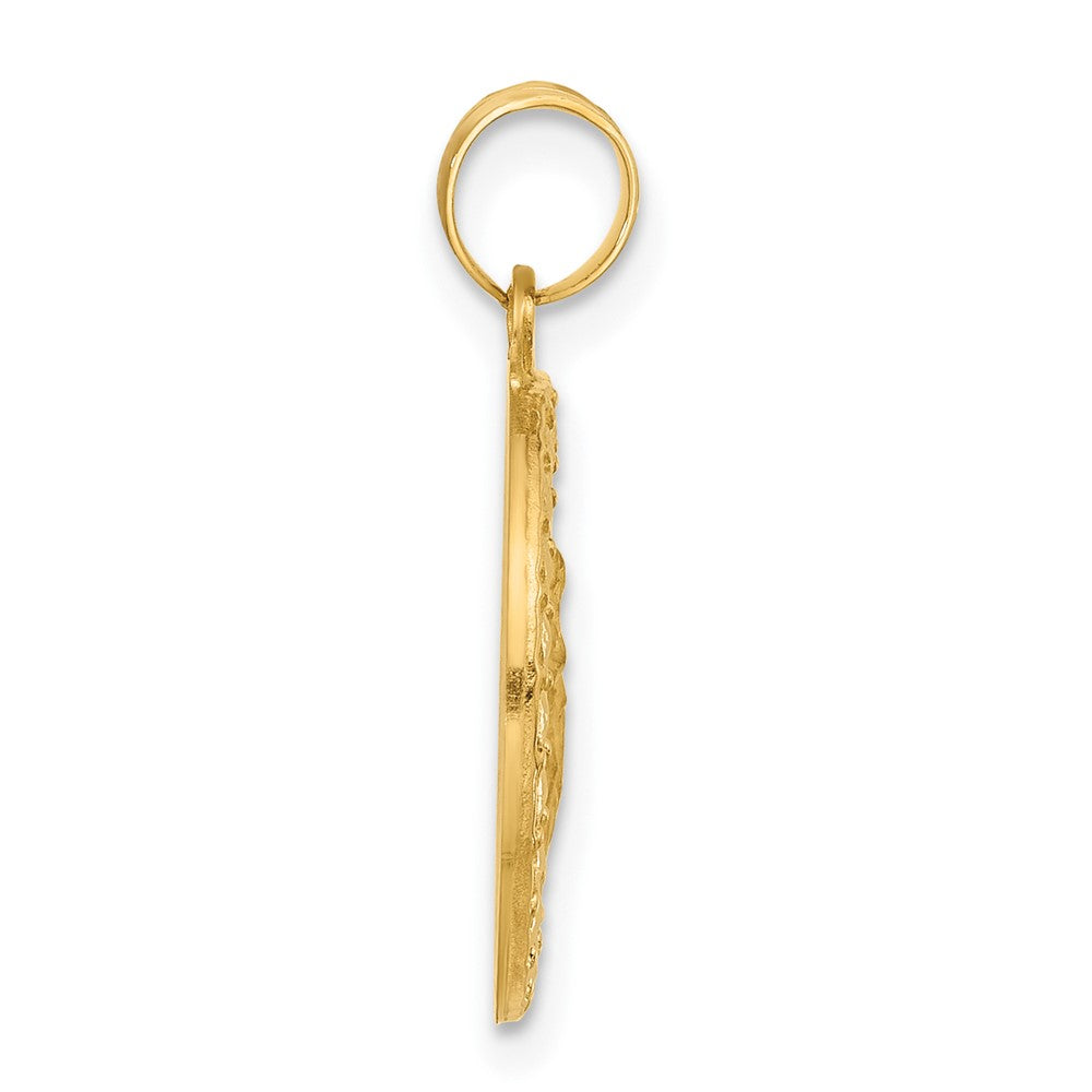 Charlie & Co Jewelry | 14k Polished Hollow St Anthony Medal - Model XR2133