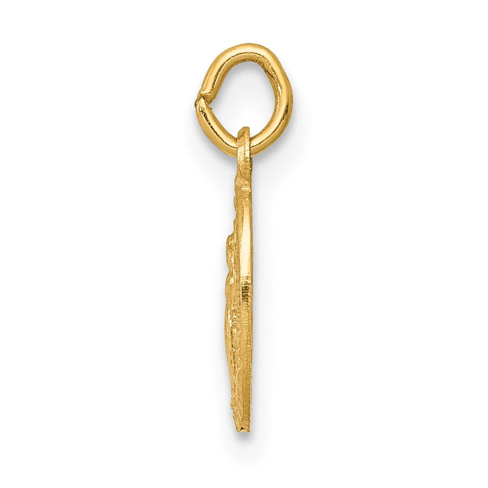 Charlie & Co Jewelry | 14k Miraculous Medal Charm - Model XR334