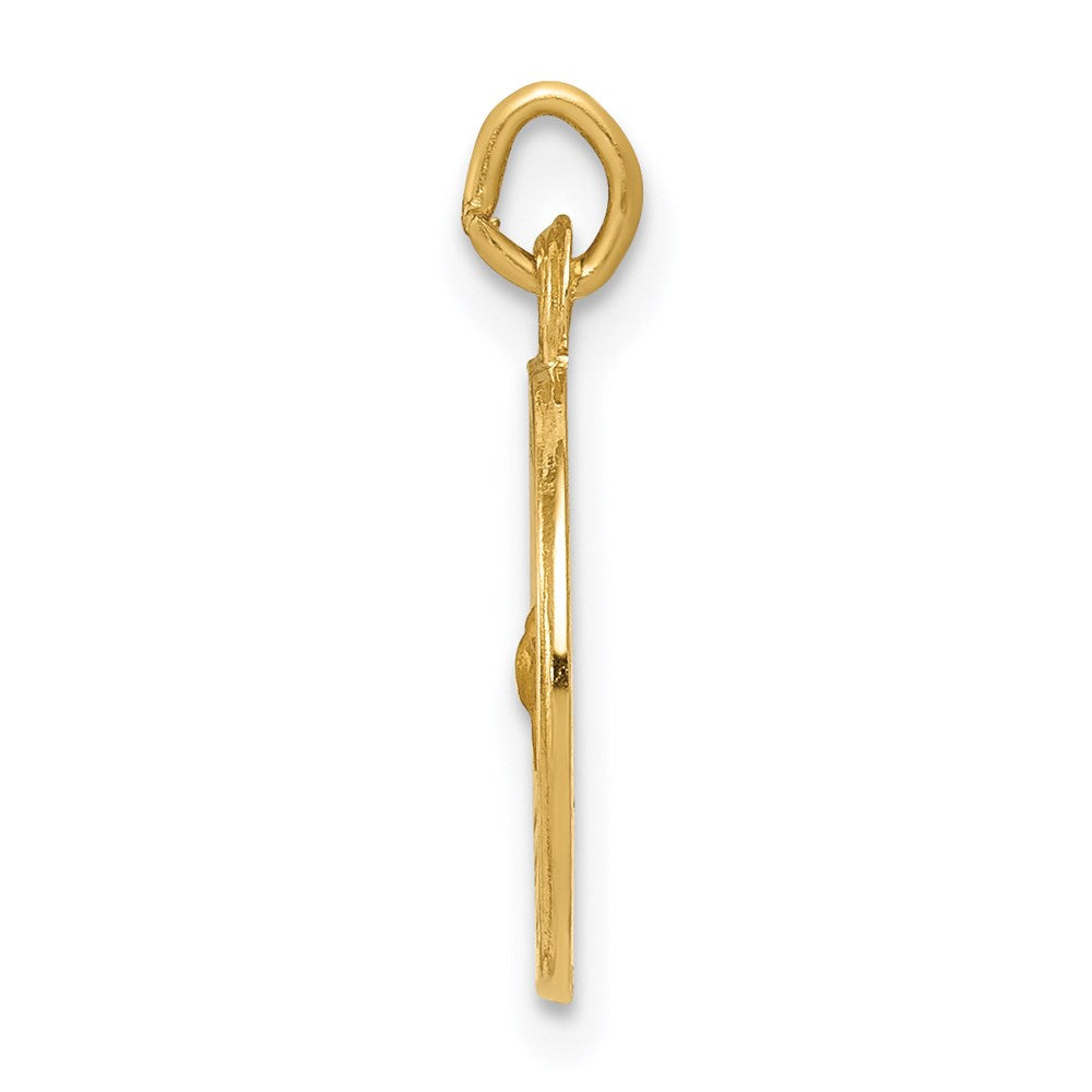 Charlie & Co Jewelry | 14k Holy Spirit Medal Charm - Model XR374