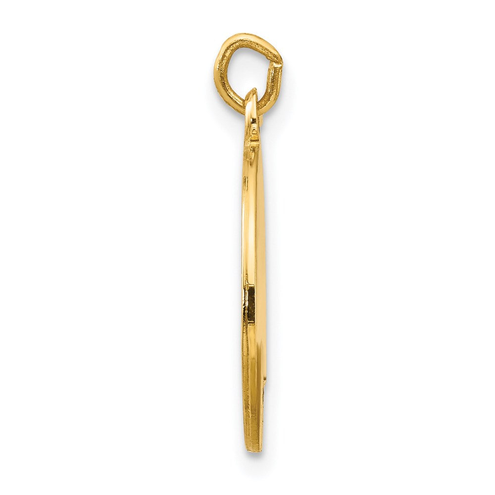 Charlie & Co Jewelry | 14k Saint Luke Medal Charm - Model XR403